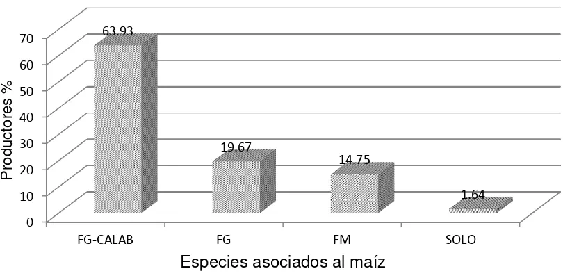 Figura 7. Porcentaje de productores y especies con que se asocia el maíz en el municipio de Copanatoyac, Gro