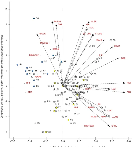 Figura 2.1 Dispersión de 69 poblaciones de maíz nativas de Santa María Tatalte-pec y variables morfológicas para valorar su diversidad, en el plano de los componentes principales 1 y 2