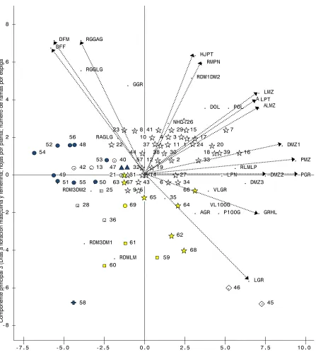 Figura 2.2 Dispersión de 69 poblaciones de maíz nativas de Santa María Tatalte- pec y variables morfológicas para valorar su diversidad, en el plano de los componentes principales 1 y 3