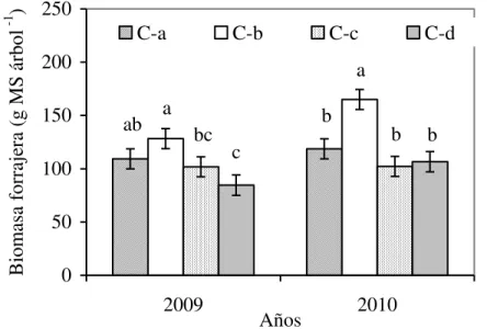 Figura 2. Rendimiento de biomasa forrajera (g MS árbol -1 ) en dos años de evaluación del  árbol Guazuma ulmifolia Lam