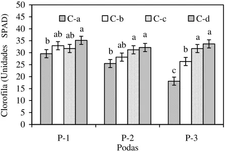 Figura  8.  Contenido  de  clorofila  (unidades  SPAD)  en  las  hojas  del  árbol  Guazuma 