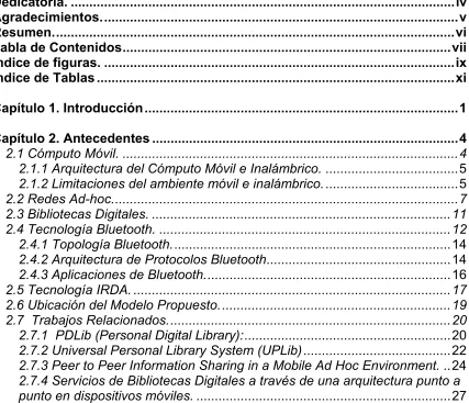 Tabla de Contenidos.........................................................................................vii 