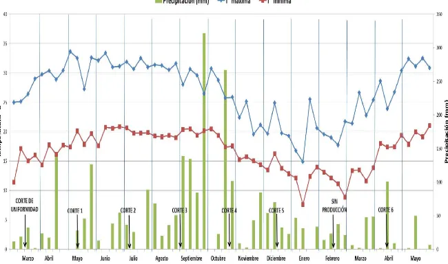 Figura 2. Temperatura y precipitación registradas de marzo 2009 a mayo de 2010 del sitio experimental �Las Margaritas” del INIFAP en el municipio de Hueytamalco, Puebla