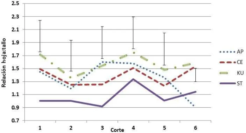 Figura 18.  Relación hoja:tallo por corte de cuatro leguminosas tropicales evaluadas en Hueytamalco, Pue