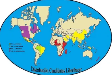 Fig. 1. Distribución geográfica de Candidatus 