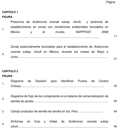 FIGURA  