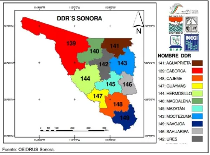 Figura 1. Distritos de Desarrollo Rural del Estado de Sonora 