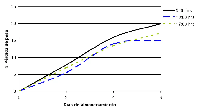 Figura 4. Efecto de la hora de cosecha sobre las perdidas de peso de frutos de limón mexicano (26 ± 2 ºC; 75 ± 5% HR)