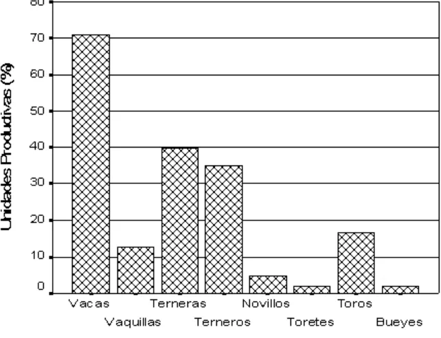 Figura 5. Estructura del hato de bovinos en las unidades productivas ovinas en el 