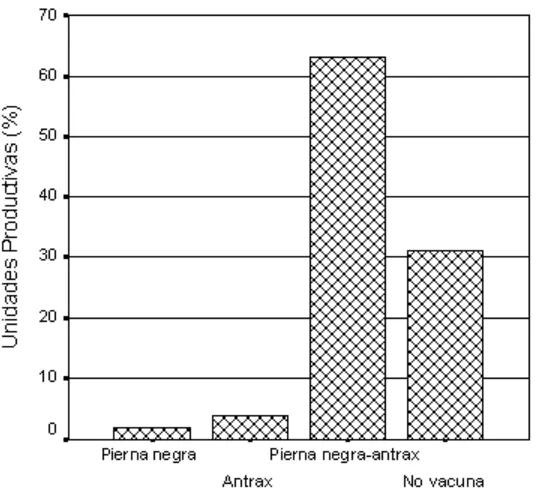 Figura 12. Tipo vacunaciones realizadas en las unidades productivas ovinas, en el 