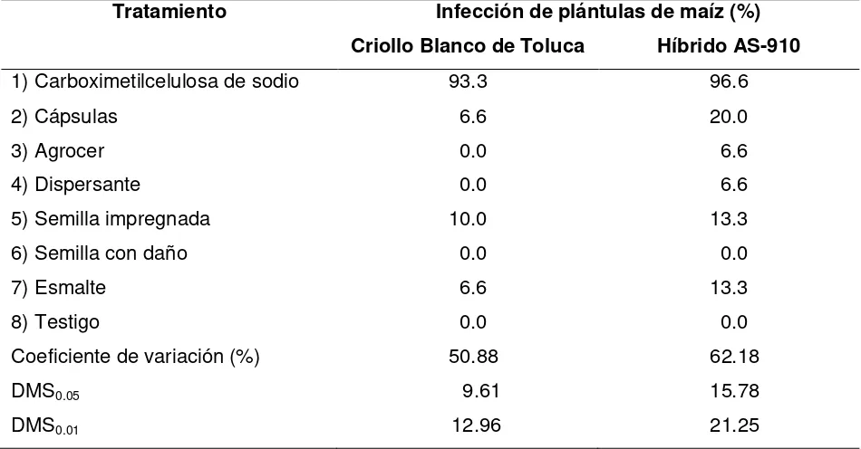 Cuadro 1. Porcentaje de plántulas de maíz infectadas con Sporisorium reilianum f. sp. zeae, generadas de semillas inoculadas con teliosporas utilizando diferentes tratamientos