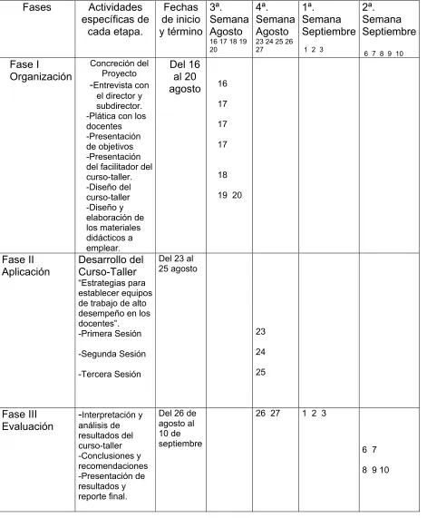 Tabla 12. Cronograma de Actividades 