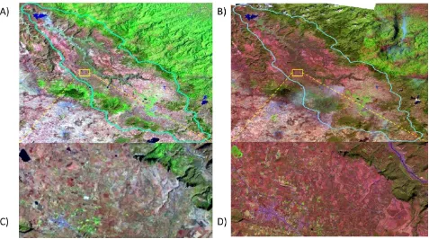 Figura 1.5 A) Imagen Landsat 7 ETM+ (2007), composición R, G, B (B2, B4, B5) y C) 