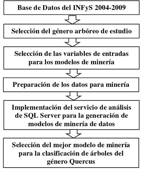 Figura 26: Proceso para la aplicación de modelos de minería de datos. Fuente: Elaboración propia para la investigación  
