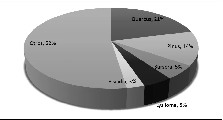 Figura 28: Porcentaje de información útil por género en el INFyS 2004-2009 Fuente: Elaboración propia para la investigación a partir del INFyS 2004-2009 