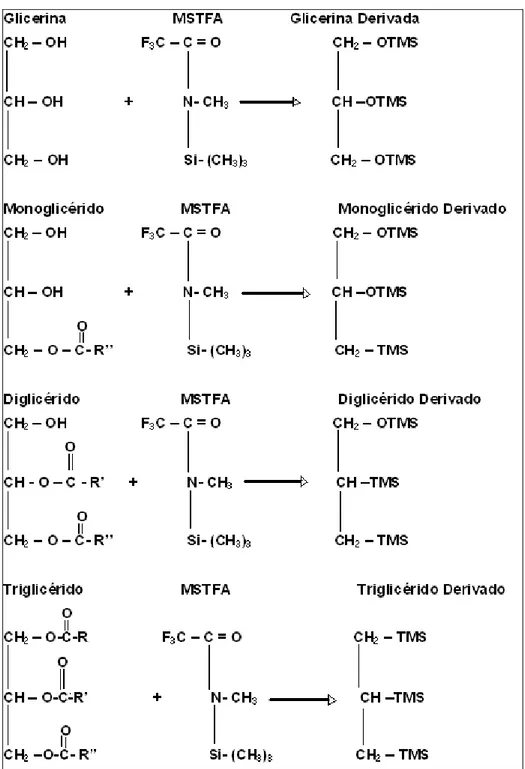 Figura 4.1.5. Esquema de reacciones derivatizantes para glicerina libre y ligada. En la parte  donde se encuentra TMS (Trimetil Sylil) esta unida la molécula del derivatizante (MSTFA) 