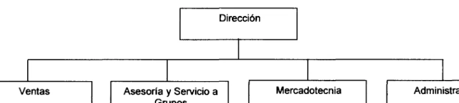 Figura 2.1 Organigrama OCVMTY