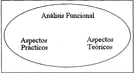 Figura 3.1 El análisis funcional engloba los aspectos prácticos y teóricos del entendimiento de un proceso