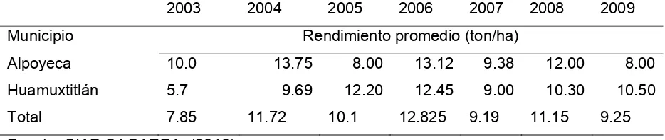 Cuadro 7. Rendimientos promedios del cultivo de mamey (Pouteria sapota Jacq.) en 