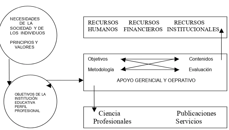 Figura 5.  El currículo como sistema.  