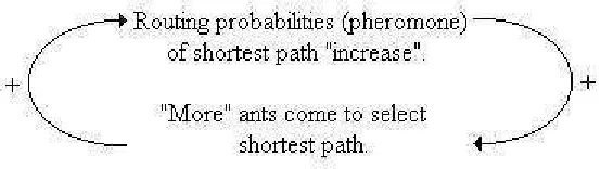 Figure 3.6: Ants for network management.