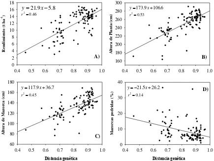 Figura 2. Distancias genéticas (DG) vs. A) Rendimiento (REND, t ha-1), B) Altura de Planta (AP, cm), C) Altura de Mazorca (AM, cm) y D) Mazorcas podridas (MPOD, %)