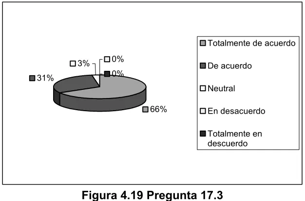 Figura 4.20  Pregunta 17.4 