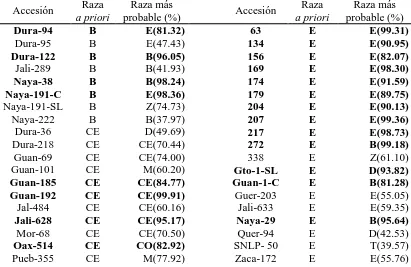 Cuadro 1.4. Probabilidad de las accesiones evaluadas de pertenecer a una de las 10 razas de maíz, mediante análisis discriminante