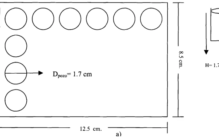 Fig. 3.5 Diagrama de microplaca de 24 pozos, (a) Vista superior de la microplaca. (b)Vista lateral de un pozo de la microplaca.