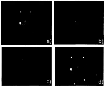 Fig. 4.6 Registros fotográficos de los núcleos de las células madre teñidas con