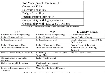 Tabla 3.1. Variables clave en la implantación de un e-business 