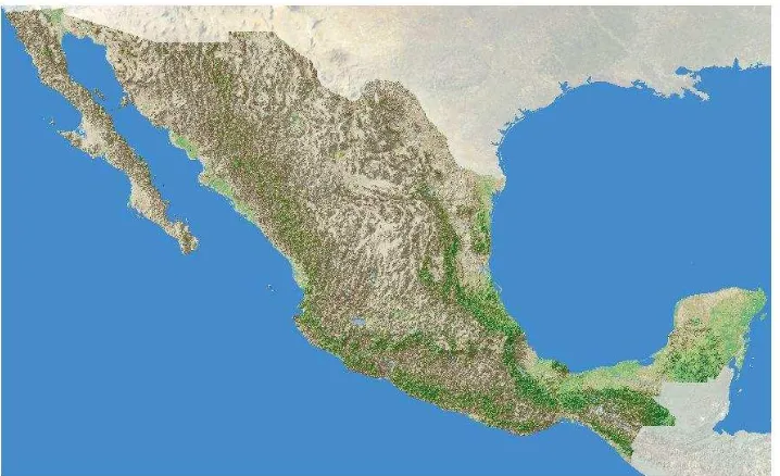 Figura 6.1. Mapa Base de México. 