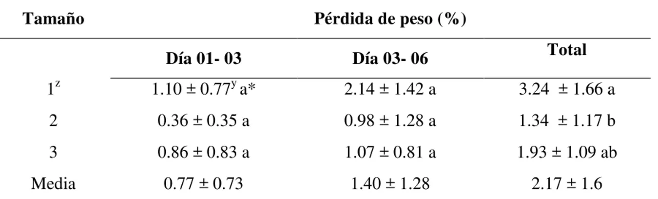 Cuadro 2. Pérdida de peso (%) en nopales  ‘Atlixco’ de tres tamaños, en los días uno, tres y  seis de almacenamiento refrigerado a 8 ± 2°C