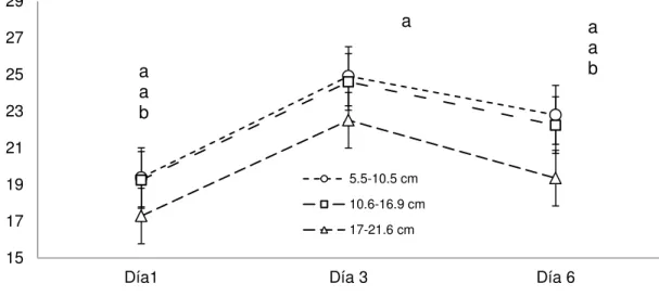 Figura 3 . Chroma en nopales ‘Atlixco’ en tres longitudes de tamaño, mantenidos en  almacenamiento refrigerado por  seis días  a 8 ± 2°C