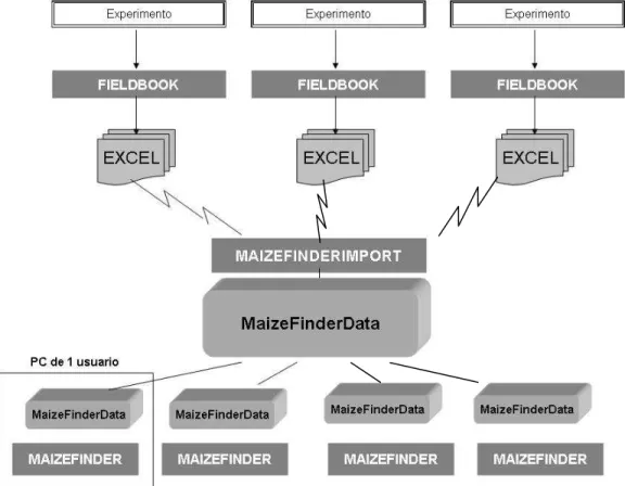 Figura 1.  Diagrama de proceso de los datos de experimentos de Maíz 