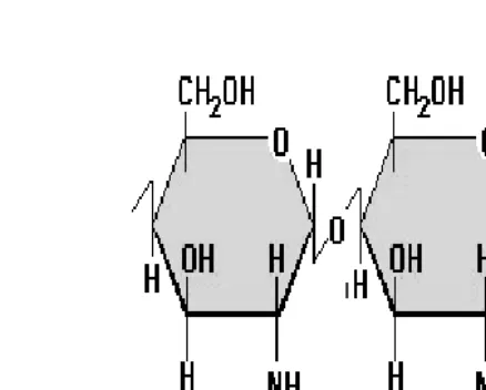 Figura 1. Estructura química de la quitina.