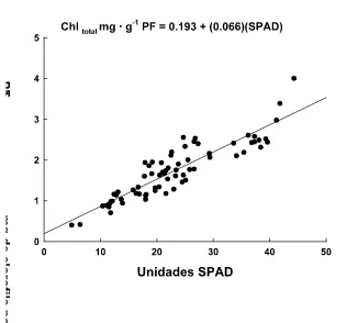 Figura 4. Modelo de regresión lineal entre clorofila relativa total y unidades SPAD en 60 hojas de trigo, (P<0.01)