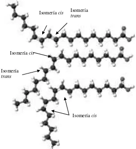 Figura 2. Principales isómeros del ácido linoleico conjugado (CLA): transcis-10, -12 (arriba), cis-9, tran-11 (en medio), cis-9,11 (abajo)