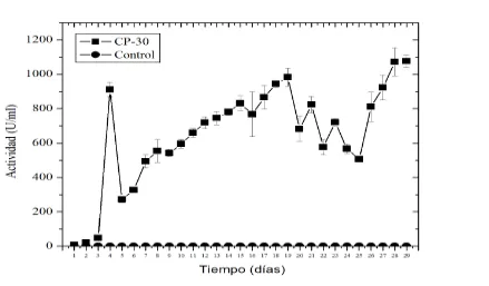 Figura 63. Producción de actividad de lacasas registrada por la cepa CP-7 de Lentinula edodes en medio de cultivo EMB adicionado con CuSO4 0.1 mM, comparada con el medio de cultivo en las mismas condiciones, pero sin inóculo (control)