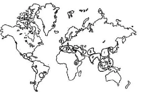 Figura  1.1  Localización  de  los  centros  de  origen/domesticación  de  las  plantas  cultivadas, según Vavilov (Serratos, 2009)