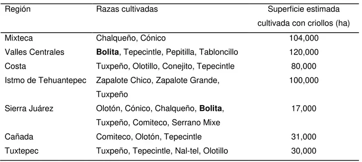 Cuadro 1.1.  Distribución de las razas cultivadas en Oaxaca en base a la región. 