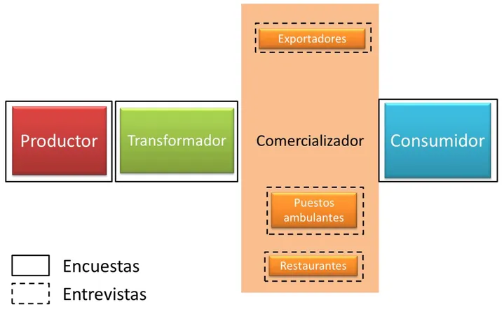 Cuadro 2.2 . Tamaño de muestra y tipo de análisis para cada sector muestreado 