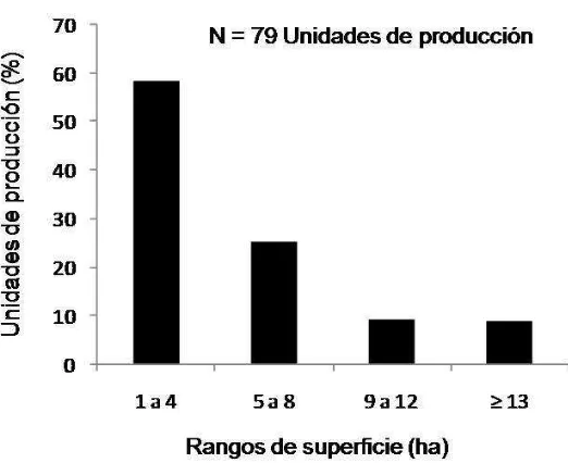 Figura 11. Superficie total de las unidades de producción en tres comunidades de la Mixteca Poblana  