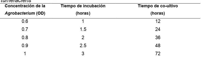 Cuadro 2. Tratamientos de transformación mediada por Agrobacterium 