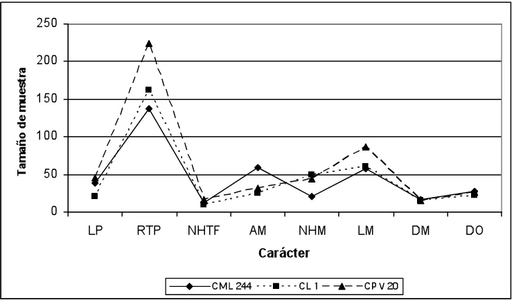 Figura 3. Tamaño de muestra para diferentes caracteres en los materiales CML 244, CL 1 y CPV 20, con   n = 250 y 400 plantas; � = 0.05 y d = 10%  