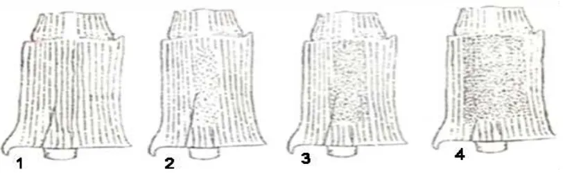 Figura 6. Características de la lámina o vaina de la hoja de la caña de azúcar: 1) Ausencia; 2) Escasos; 3) Regular; 4) Cuantiosos