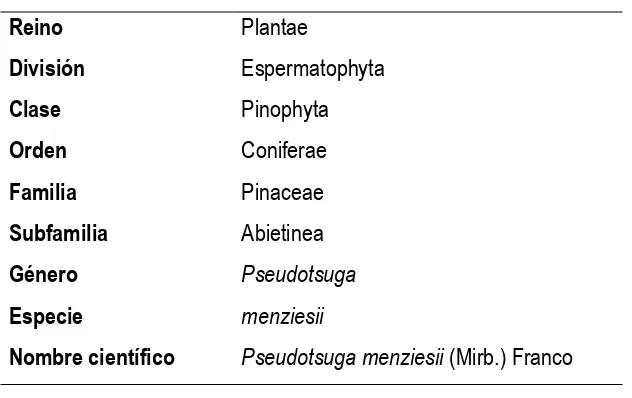 Cuadro 2.1. Categoría taxonómica de Pseudotsuga menziesii (Mirb.) Franco. 