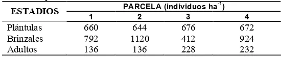 Cuadro 2.5. Densidad de individuos por estadio de desarrollo y parcela  de Pinus chiapensisen un bosque en la Sierra Sur de Oaxaca