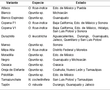 Cuadro 2.3. Variantes de nopalitos (Opuntia spp.) cultivadas ampliamente en México. 