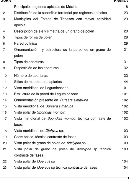 FIGURA  